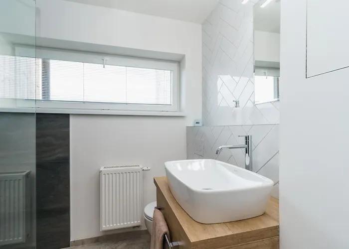 Apartman Horsky Temari 1 Klinovec *